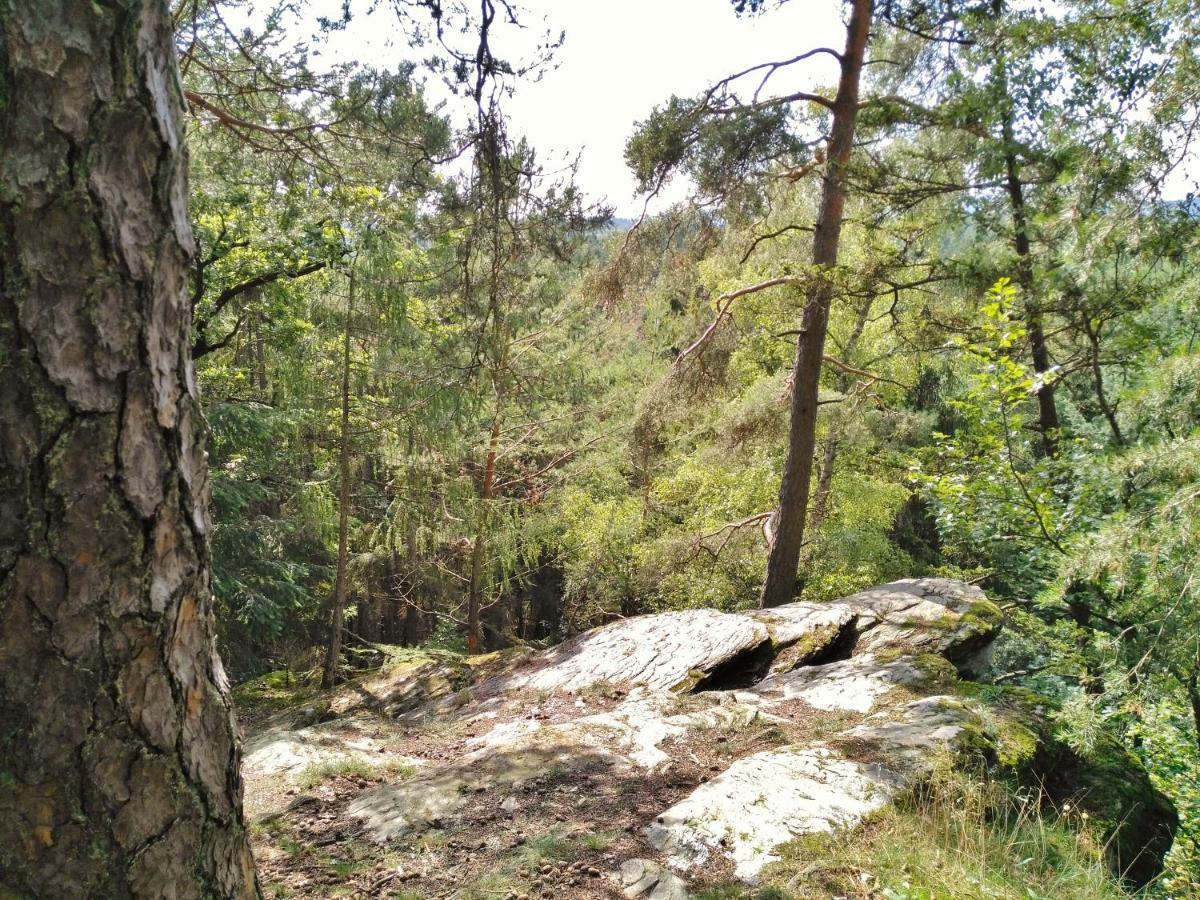 Fewo Well Gladenbach Extérieur photo